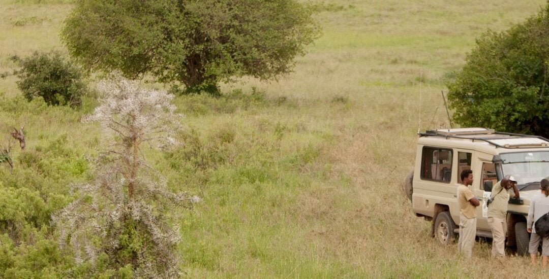 10 años de experiencia en safaris