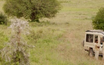 10 años de experiencia en safaris