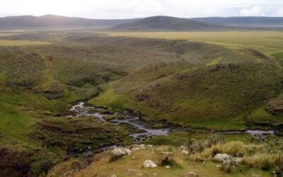 Tierras del Ngorongoro