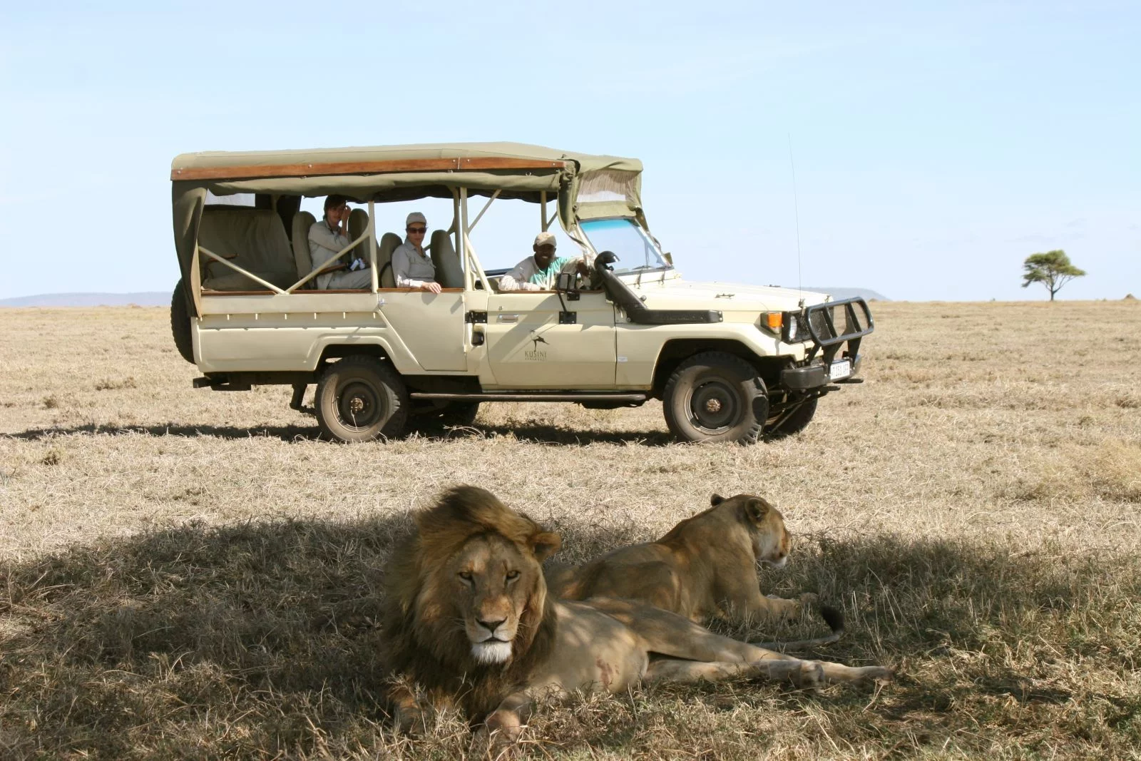 safari-en-serengeti Safari en el Parque Nacional del Serengeti con fauna salvaje
