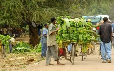 Mezcla de tribus en Mto wa Mbu